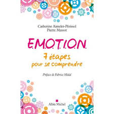 e-m-o-t-i-o-n-7-etapes-pour-se-comprendre