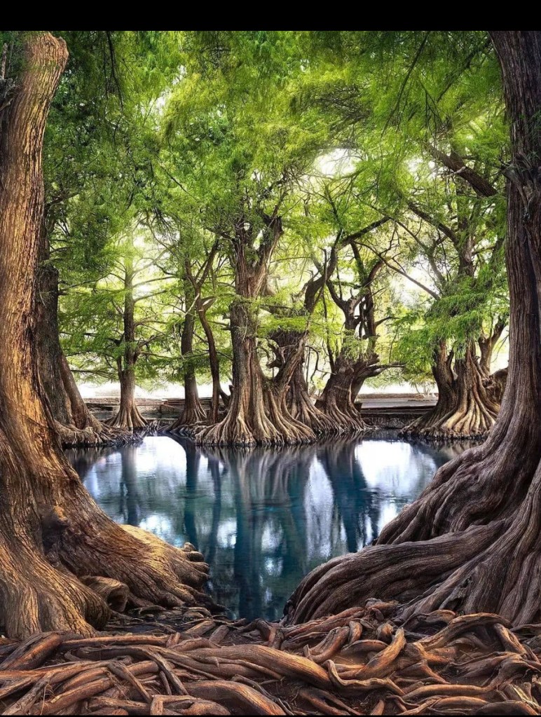 La connaissance de soi