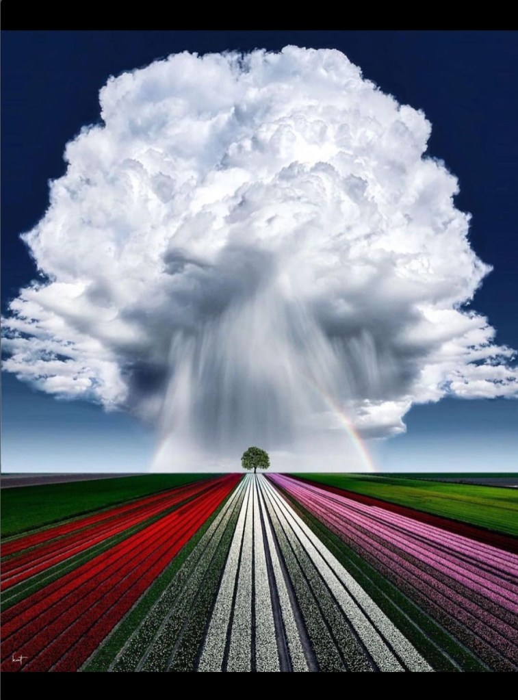 La réalité humaine